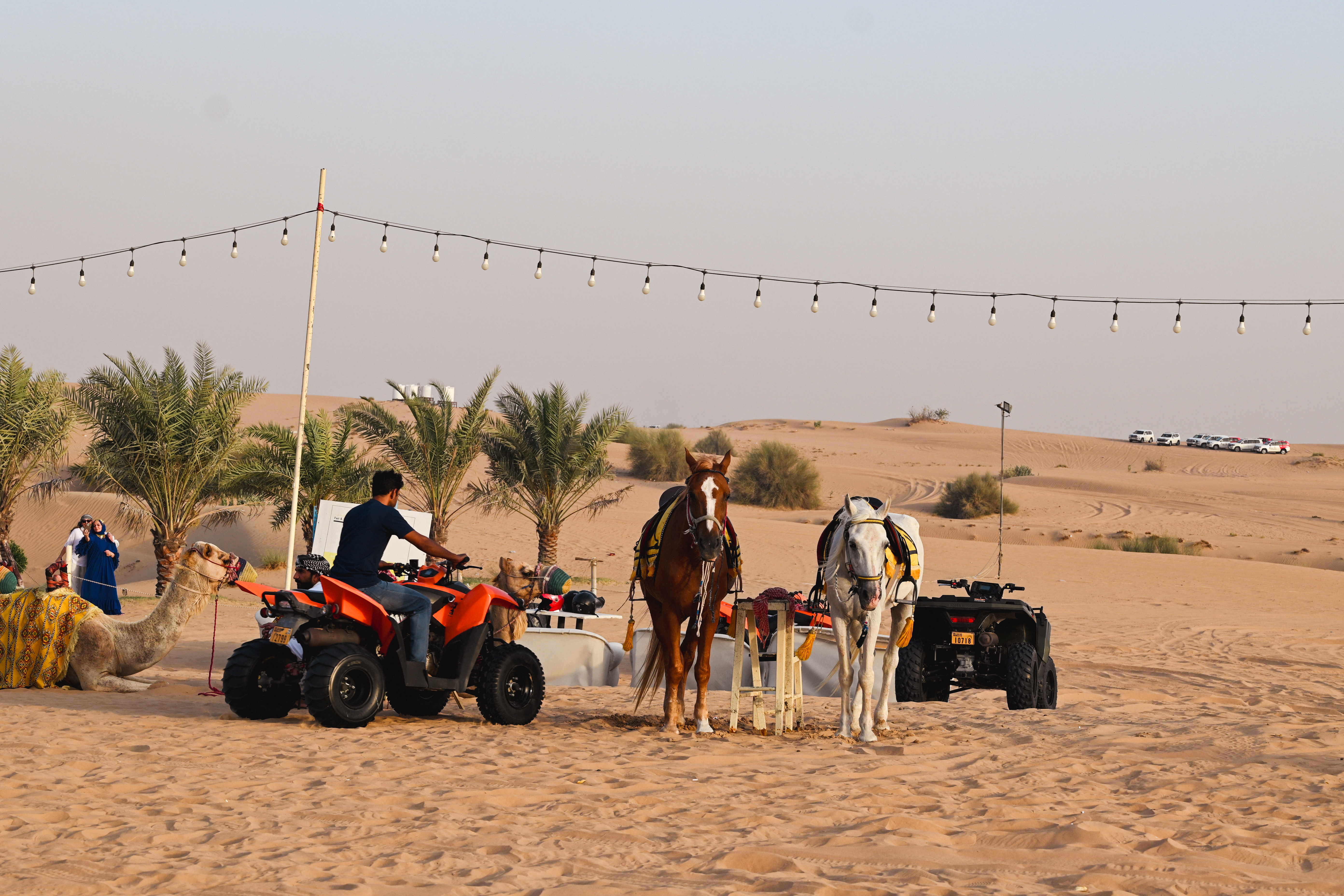 PİCART'IN GÖZÜNDEN DUBAİ ÇÖLÜNÜ KEŞFEDİN!